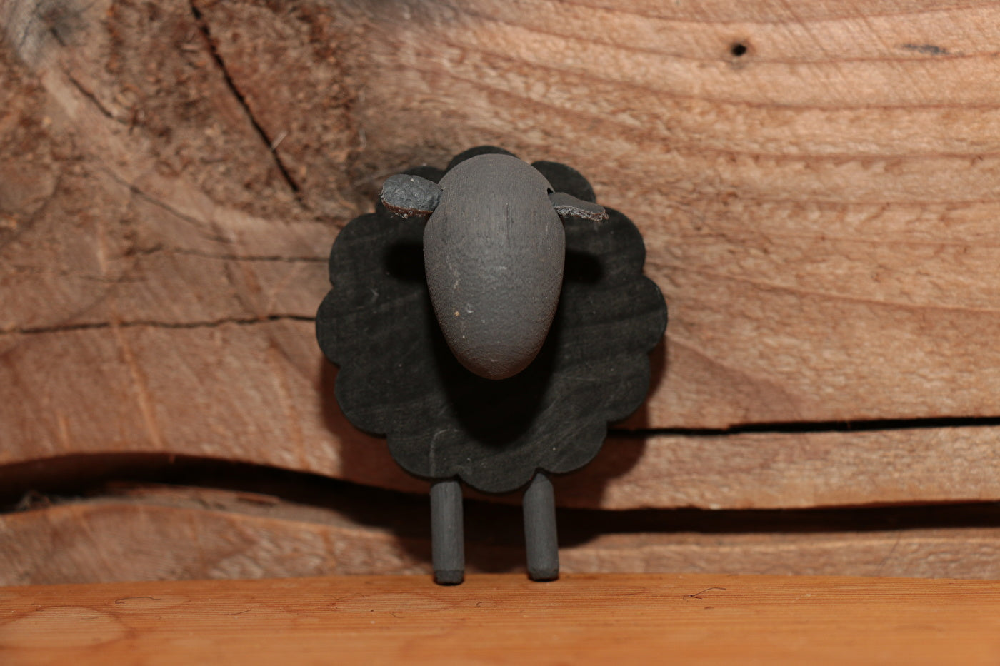 Sheep magnets