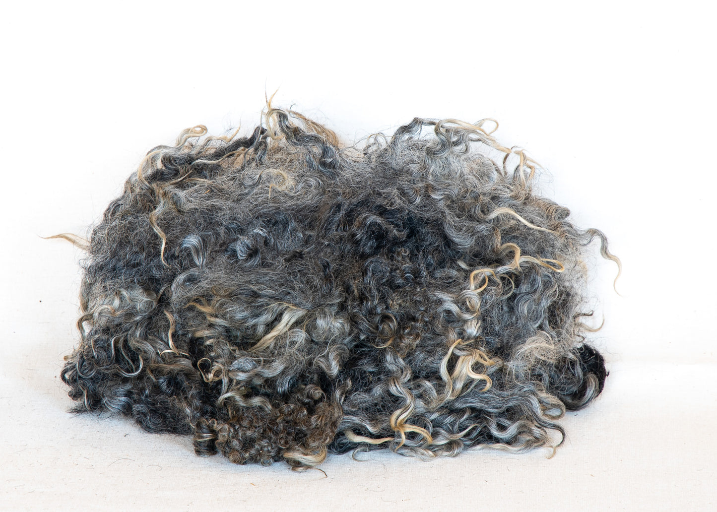 Sheep wool against deer