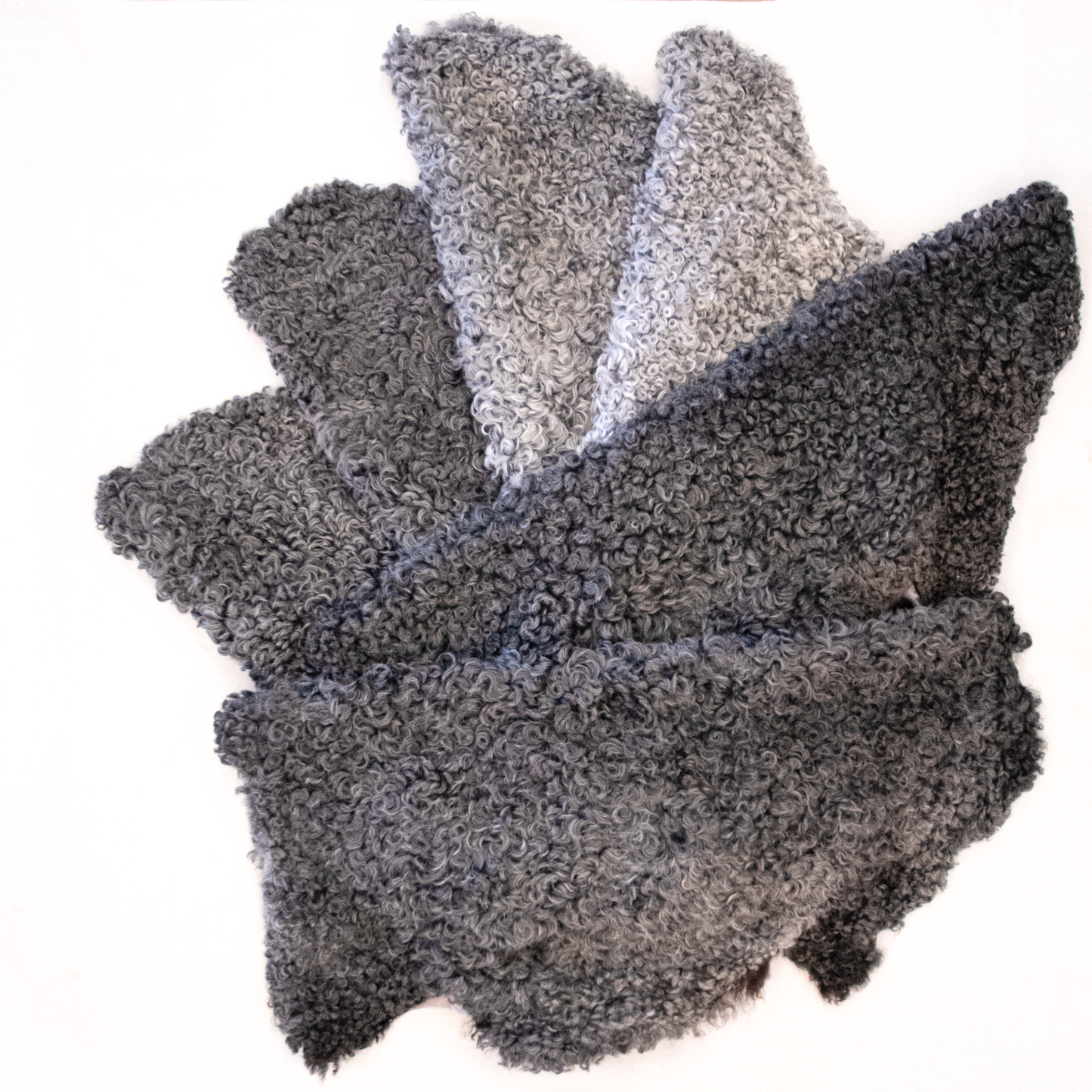 Lambskin from Gotland sheep