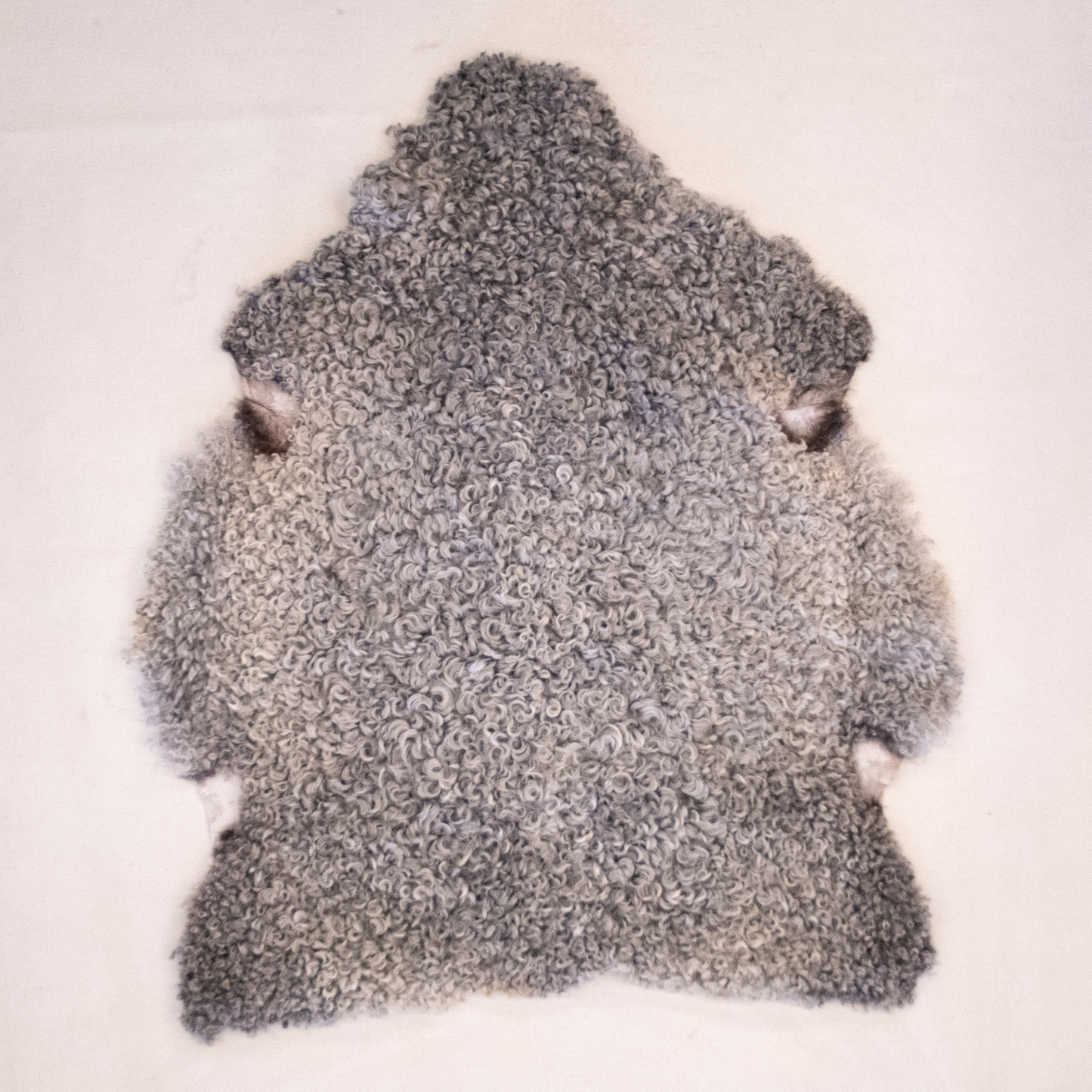 Lambskin from Gotland sheep