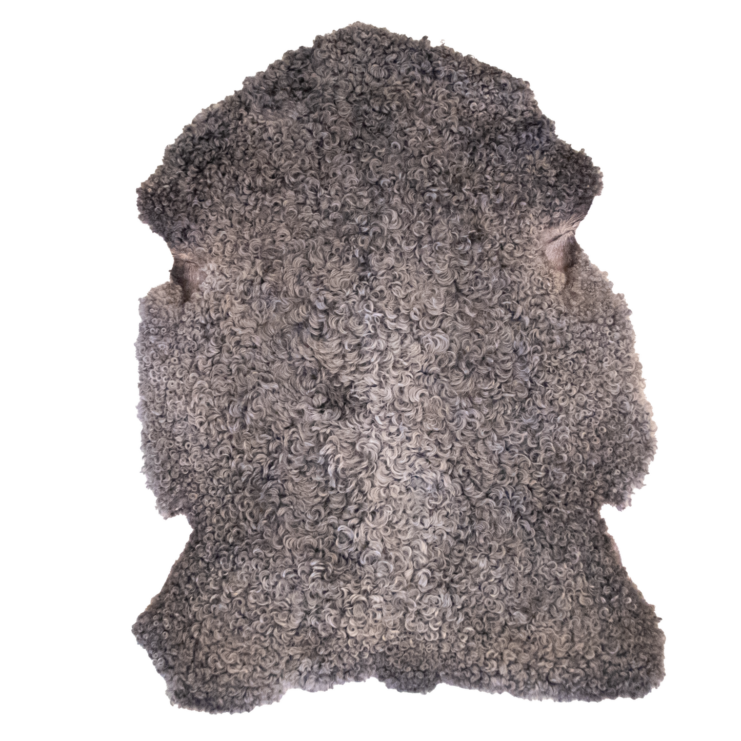 Lambskin from Gotland sheep