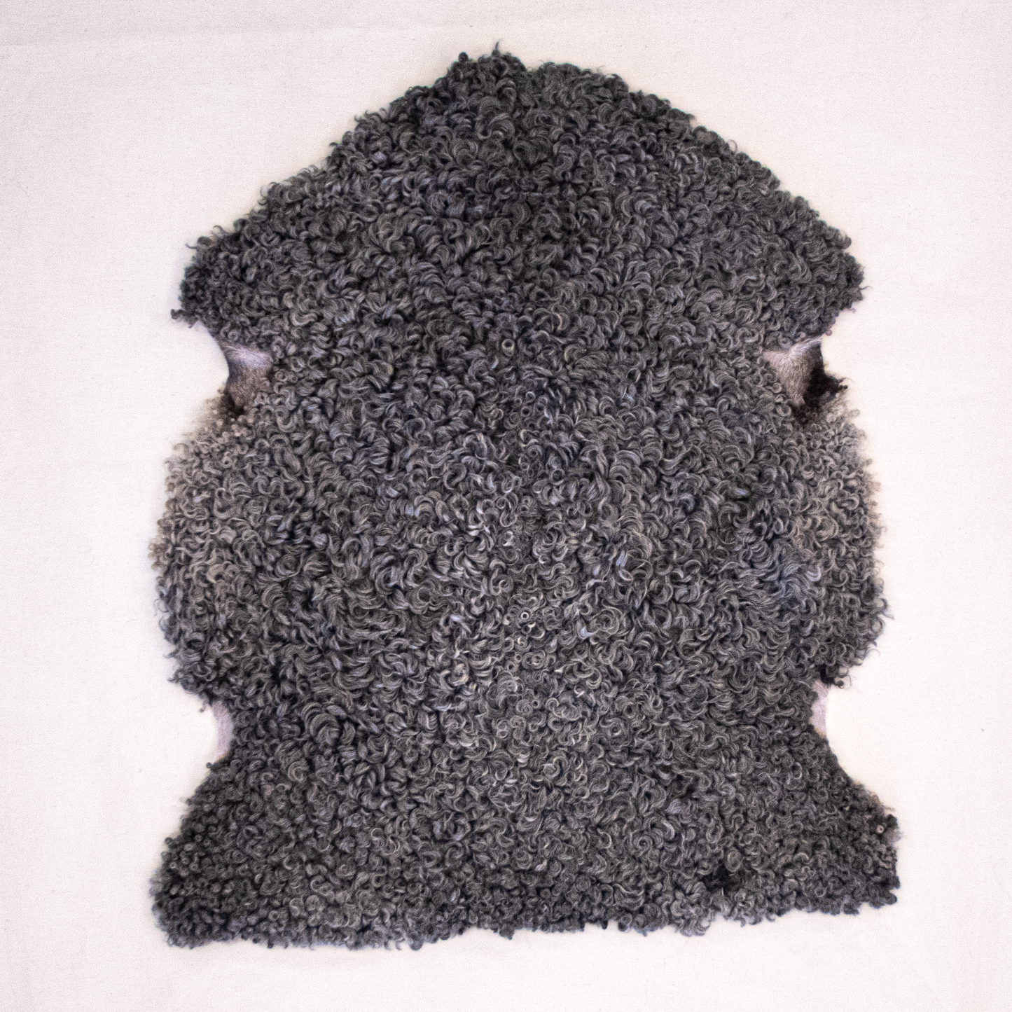 Lambskin from Gotland sheep