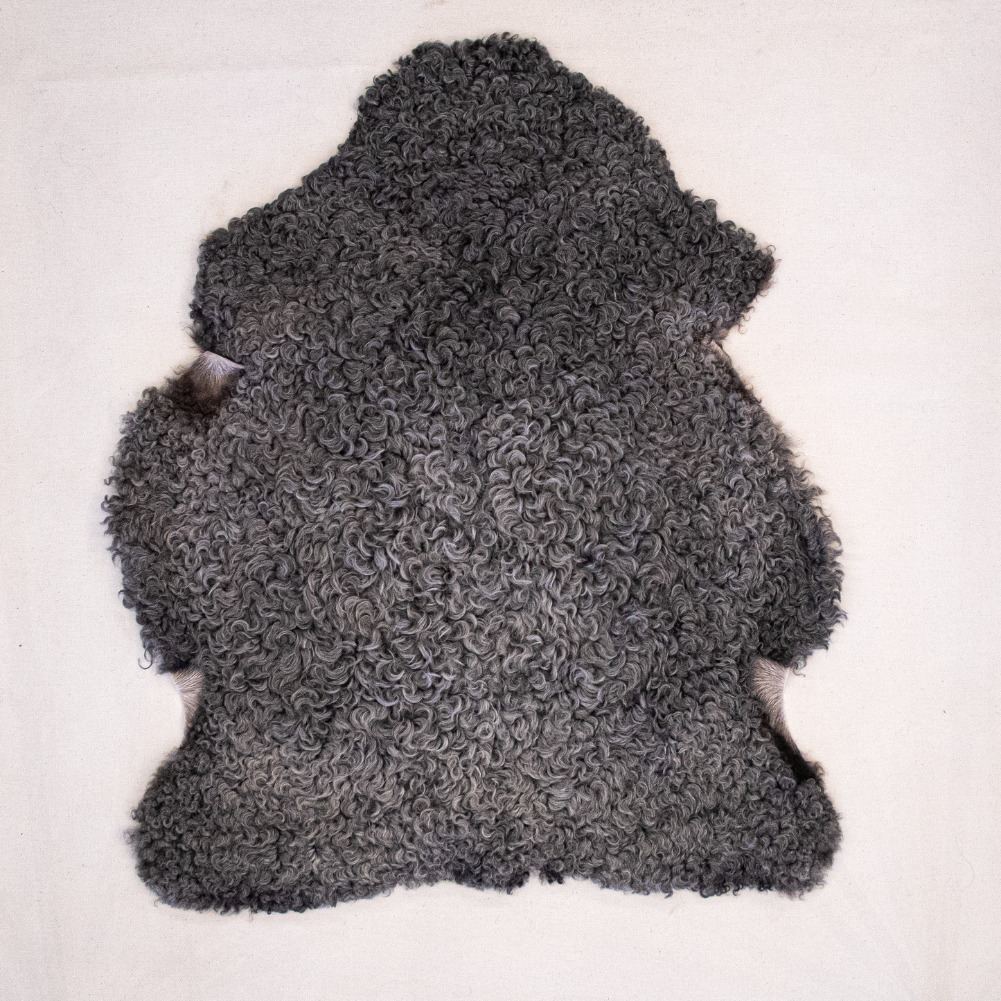 Lambskin from Gotland sheep