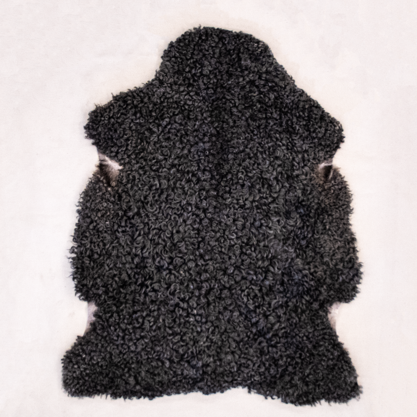 Lambskin from Gotland sheep