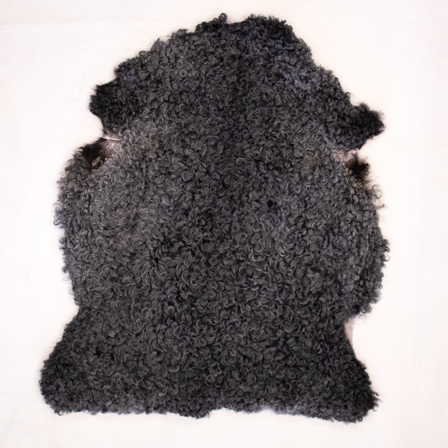 Lambskin from Gotland sheep